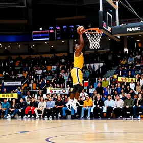titulos-de-kobe-bryant-guia-completo-com-explicacao-contexto-e-dicas-uteis