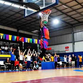 titulos-de-shaquille-o-neal-guia-completo-com-explicacao-contexto-e-dicas-uteis