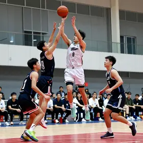 treino-de-bloqueio-no-basquete-guia-completo-com-explicacao-contexto-e-dicas-uteis
